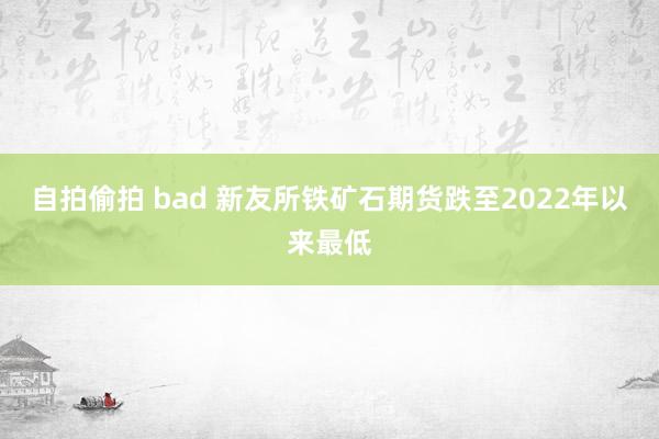 自拍偷拍 bad 新友所铁矿石期货跌至2022年以来最低