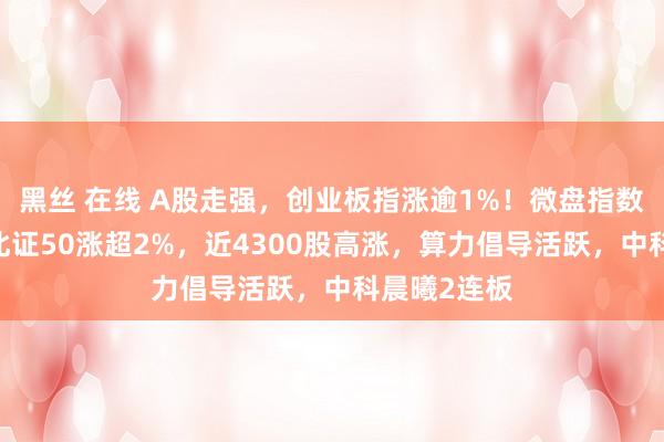 黑丝 在线 A股走强，创业板指涨逾1%！微盘指数涨超2%，北证50涨超2%，近4300股高涨，算力倡导活跃，中科晨曦2连板