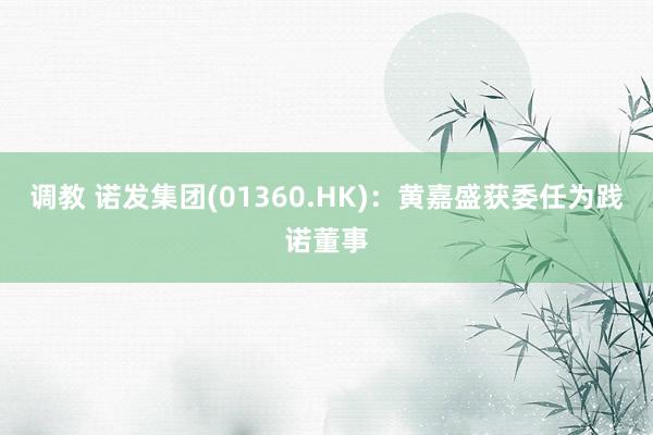 调教 诺发集团(01360.HK)：黄嘉盛获委任为践诺董事