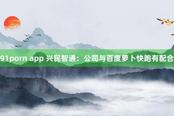 91porn app 兴民智通：公司与百度萝卜快跑有配合