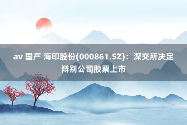 av 国产 海印股份(000861.SZ)：深交所决定辩别公司股票上市