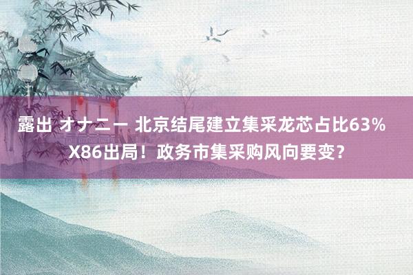 露出 オナニー 北京结尾建立集采龙芯占比63%  X86出局！政务市集采购风向要变？