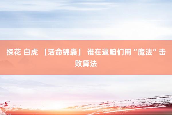 探花 白虎 【活命锦囊】 谁在逼咱们用“魔法”击败算法